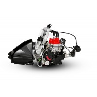 MOTORE ROTAX MAX EVO SENIOR 125cc
